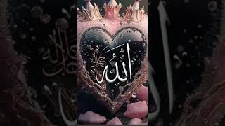 mashaallah allah name status #new islamic status #shortvideo #alinakhadiji #786