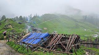 Most Peaceful & Very Relaxing Nepali Mountain Village Life ||Rainy Day ||Best Life In Rural Village