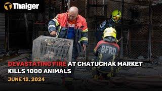 Thailand News June 12: Devastating fire at Chatuchak market kills 1000 animals