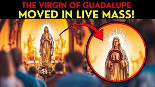 THEY FREEZE! The VIRGIN OF GUADALUPE MOVED on the TILMA during MASS AND THEN THIS HAPPENED