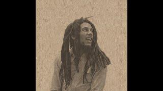 Bob Marley - Babylon System