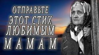 Любите и берегите матерей! Трогательный стих о маме до слёз