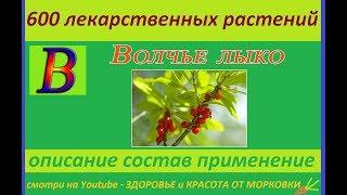 wolf's bast 600 medicinal plants