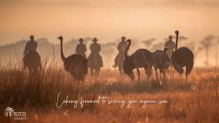 Horse Safari: Dawn ride with ostrich in Africa