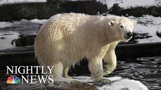 2016 Was Hottest Year Ever: What’s Behind The Numbers? | NBC Nightly News