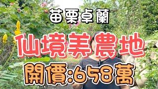 (降價!!)598萬-苗栗卓蘭~仙境美農地#農牧用地#有電#有水保#有排水#大平台#地形平坦#近市區#近卓蘭高中#低總價#可資材室#可申請農舍#渡假休閒#退休養生#投資置產#房地產買賣找阿皮-N139