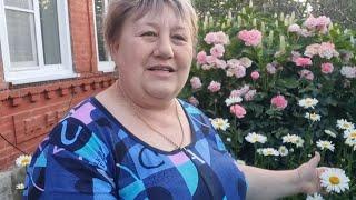 Жарю и тушу свинину, заправляю селёдочку ,отвариваю картофель.#готовимдома #готовимвкусно #рецепты #
