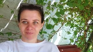 ЧТО СЛУЧИЛОСЬ С НАШИМ АБРИКОСИКОМ