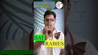 Bat & Rabies Vaccine By Dr Anurag Prasad | चमगादड़ काटने पर रेबीज #shorts