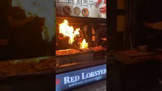 제주도 ㅁㅊ텐션 랍스터구이ㅋㅋㅋ(동문야시장)