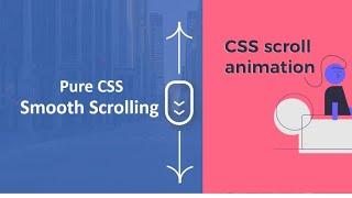 Crazy css animations - css scroll animation - scroll animation css