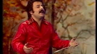 Shahrokh-Payeez شاهرخ  - پاییز