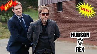 Hudson & Rex 2024  season 2 Episodes4+5+6  Dead Man Walking  Drama Television Series