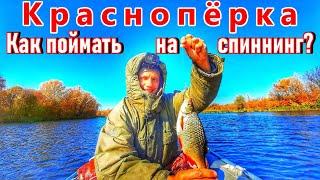 КРАСНОПЁРКА/ЛОВЛЯ КРАСНОПЁРКИ НА МИКРОДЖИГ НА ВОЛГЕ/Полная инструкция + советы!