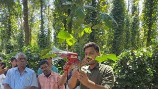 PART 1 GROW SMART PLANTATION VISIT TO KARAN COFFEE PLANTATION BY HASIRU ORGANICS