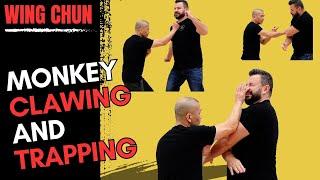 Wing Chun: Monkey Clawing, Trapping and Power Generation - Kung Fu Report #378