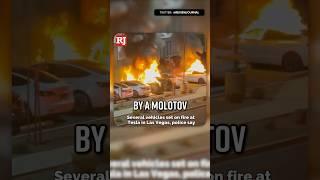 As Tesla Are Set Ablaze, Tim Walz Cheers Its Stock Crashing