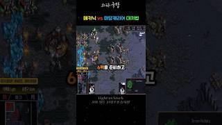 마당 캐리어 대처 방법