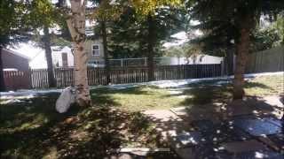 Calgary bungalow house for sale 40 Pinebrook Close NE