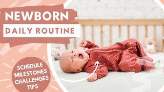 DAILY ROUTINE of a NEWBORN Baby: Schedule, Milestones, Tips and Tricks | The Carnahan Fam