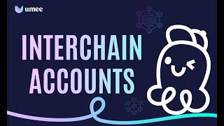 What Are The Interchain Accounts? Easy Animated Explanation | Umeeversity