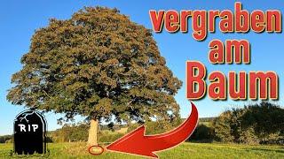 GRUSELIGER FUND liegt VERGRABEN am alten BAUM (Das wollten wir nicht mit dem Metalldetektor finden)