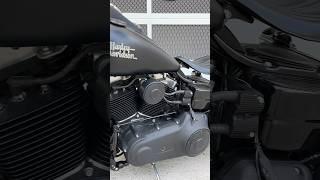 Harley Davidson StreetBob FXDB #shorts #streetbob #fxdb #harleydavidson