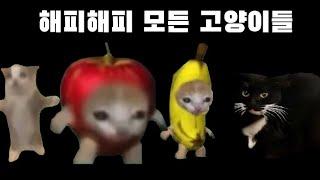 해피캣 밈에 나오는 모든 고양이들