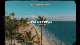 Razvan Mitroi - Never Let You Go (Official Audio)