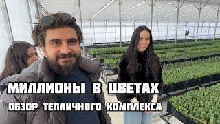 Дорогу молодым или как правильно вложиться в цветы #залуковицамитюльпановкомне