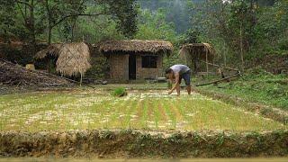 Cohabitation 2000 years into the past, To eliminate hunger: I became "SLAVE" in the rice field