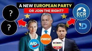 Europe's Homeless - Who Will The AfD and Fidesz Join?