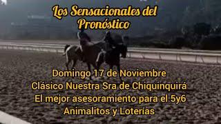 Los Sensacionales del Pronóstico #domingo 17 de #noviembre #larinconada asesoría para el #5y6