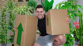 Unboxing Indoor Plants + Cactus