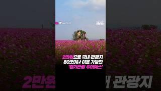 단돈 2만원에? 관광지 80곳 자유롭게 이용 가능한 '경기관광 투어패스' #투어패스 #경기도 #가족여행