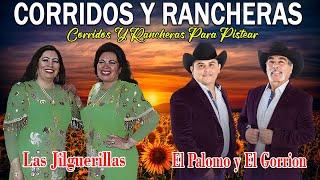 Las Jilguerillas y El Palomo y El Gorrion Sus Mejores Canciones ~ Corridos y Rancheras Norteñas 2024