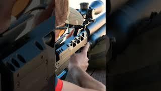 Karma Red Panda, FX Impact, Skout Epoch, and Daystate Blackwolf airguns all shooting at EBR