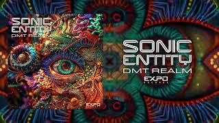 Sonic Entity - DMT Realm