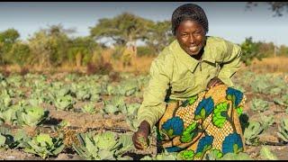 Water and Food Systems Panel and Discussion | Water for Food Global Forum