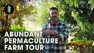 Beautiful 1-Acre Small Scale Permaculture Property | Limestone Permaculture Farm Tour