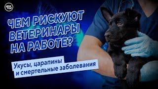 Чем рискуют ветеринары на работе? Медицинский репортёр