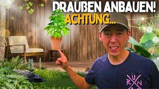 Selber Anbauen im Garten / Balkon  die 5 Anfänger Fehler und Gefahren Outdoor