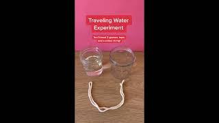 Traveling Water Experiment | GIGIL STEM Activities for Kids | #shorts