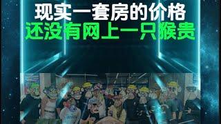 无聊猿为什么这么贵？这期视频给你答案！#nft #无聊猿#赚钱#BAYC