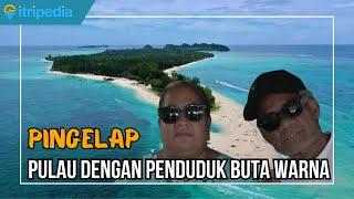 PINGELAP, Pulau yang Mayoritas Penduduknya Buta Warna!