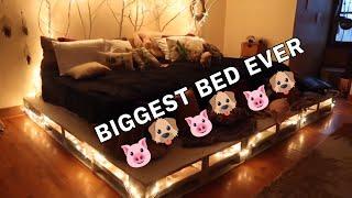 BUILDING A GIANT BED FOR MY PETS
