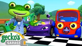 The Car Competition! | Gecko's Animal Pals | Animal & Vehicle Cartoons | Cartoons for Kids