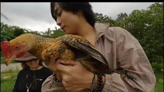 ang alagang manok ni jeo || geo ong || masid