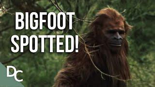 Shocking Bigfoot Sighting Evidence! | Bigfoot Encounters | Full HD | Documentary Central