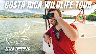 River Boat Tour on the CROC-INFESTED Tarcoles River | Costa Rica Nature Tour